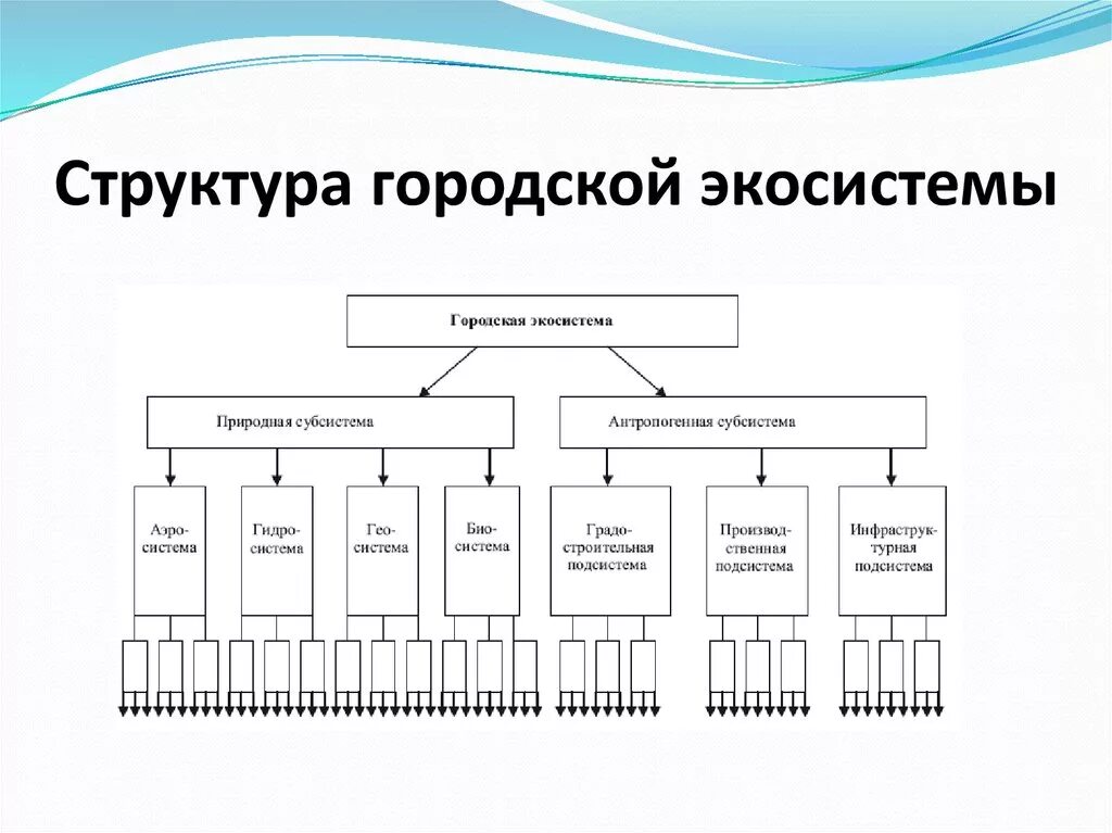 Виды деятельности дизайнера преобразующие городскую среду