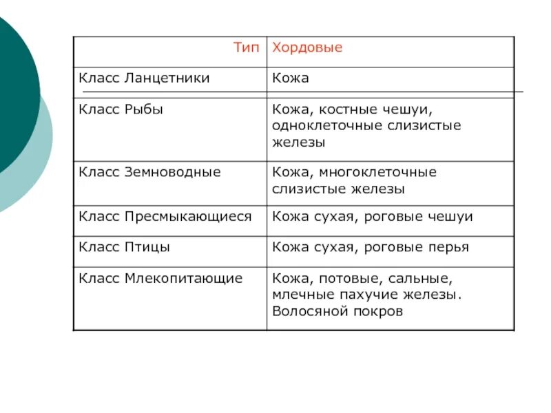 Покровы тела животных 8 класс биология таблица. Покров тела ланцетника 7 класс. Таблица по биологии 7 класс строение покровов тела. Покров тела простейших таблица. Таблица покровы тела 7 класс биология.