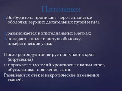 Возбудители дыхательных путей