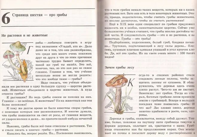 Книга зелёные страницы 3 класс грибы. Трубчатый слой шляпки гриба. Рассказ его величество боровик зеленые страницы. Книга зеленые страницы коварные двойники 2 класс шампиньон и поганка. Книга зеленые страницы про грибы.