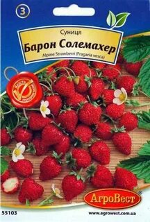Клубника солемахер отзывы