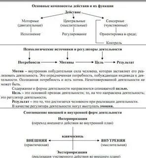 Регулятор деятельности
