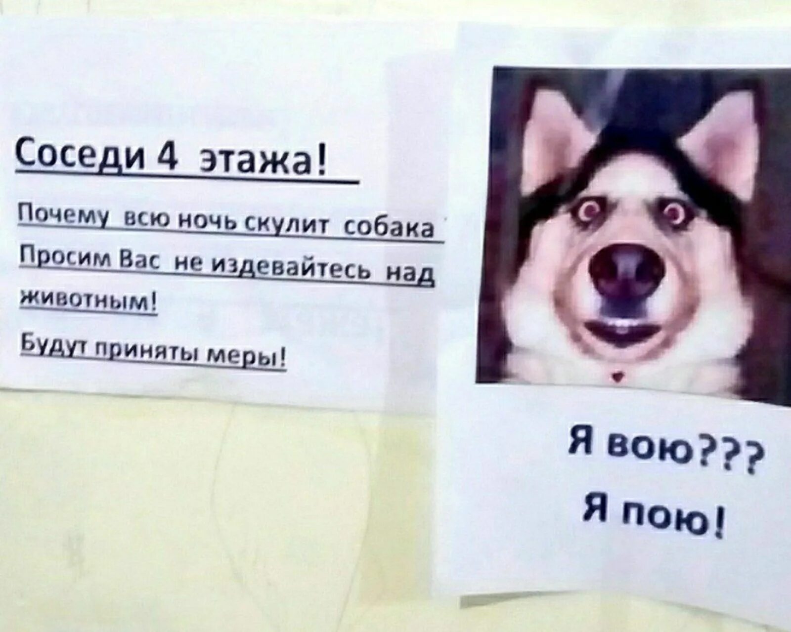 Лает собака у соседей. Объявление о воющей собаке. Записка соседям про собаку. Объявление соседям о лающей собаке. Объявление о собаках в подъезде.