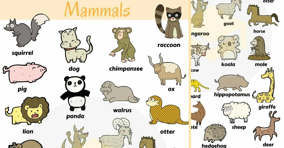Animals guessing game. Let's talk about animals. Who which that where упражнения. Animal who or which. Animals task for children.