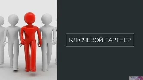 Partner что значит