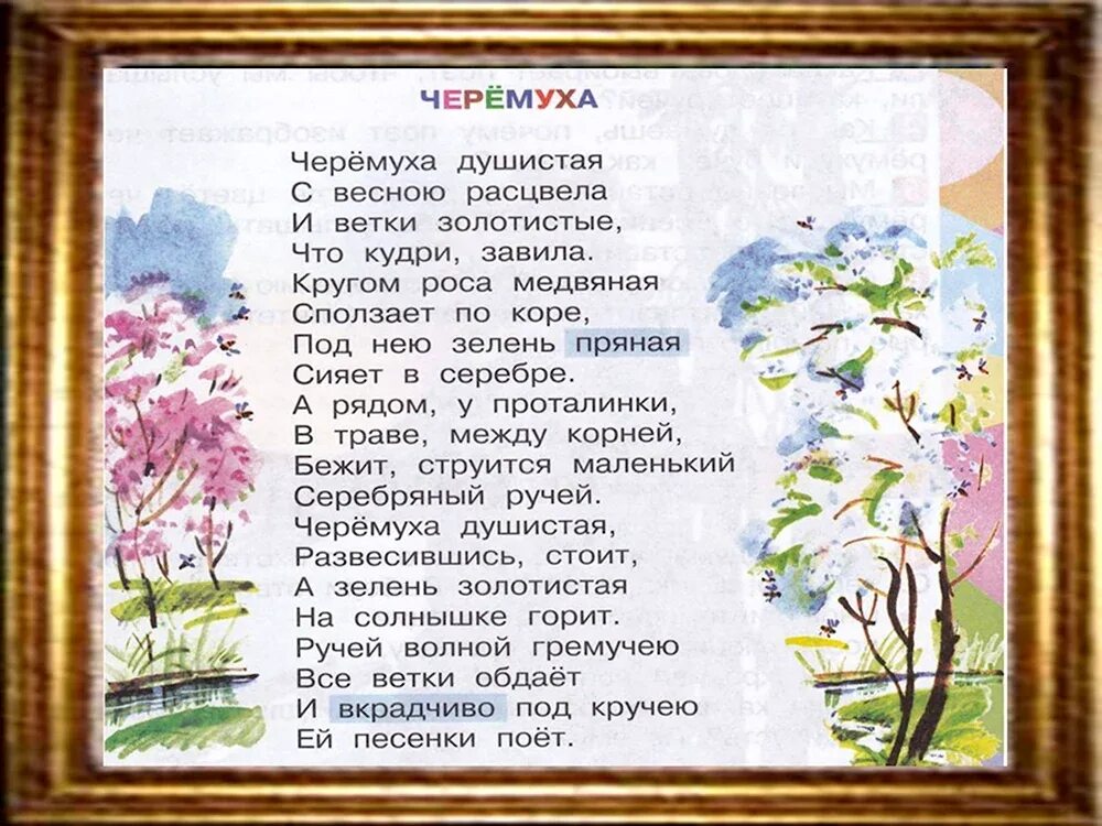 Как быстро выучить стихотворение сергея есенина черемуха. Третий класс литературное чтение есенин черёмуха. рассказ сергея александровича есенина черемуха.