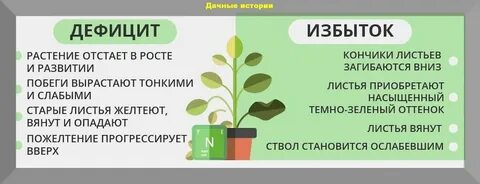 Недостаток азота какой закон