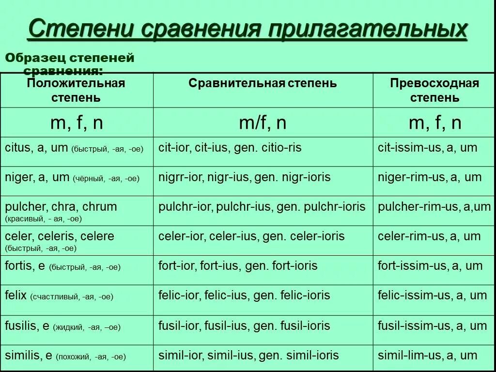 Степени сравнения прилагательных латынь таблица. Прилагательные в сравнительной степени в латинском языке. Окончания прилагательных в сравнительной степени латынь. Сравнительная степень прилагательных в латинском языке таблица.