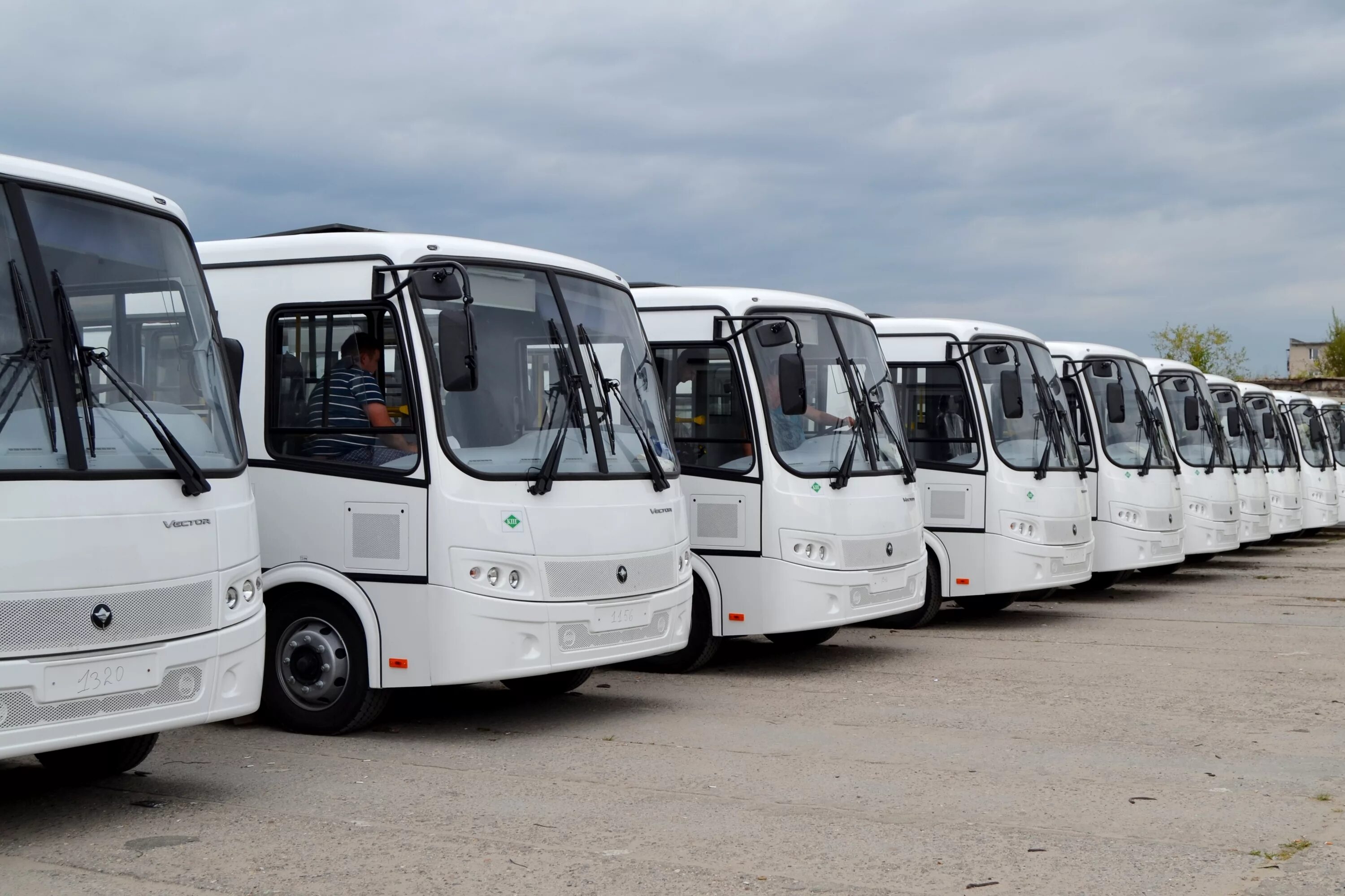 Пассажирские перевозки город. ПАЗ вектор Иваново. Пассажирский автобус. Российские автобусы. Пассажирский автотранспорт.