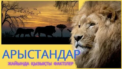 Апат үшін анал