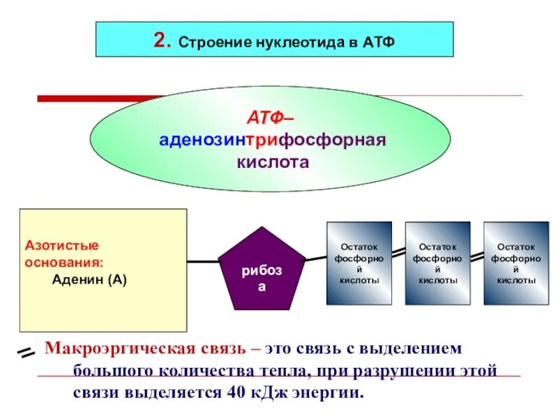 Функции атф