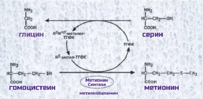 Реакция синтеза Серина из глицина. Синтез глицина из Серина. Схема синтеза Серина. Образование Серина из Глюкозы. Напишите реакцию глицина