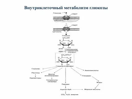 Метаболит глюкозы