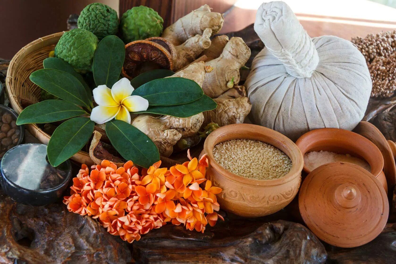 Аюрведические травы. Тайская народная медицина. Растения Аюрведа. Народная медицина Тайланда.