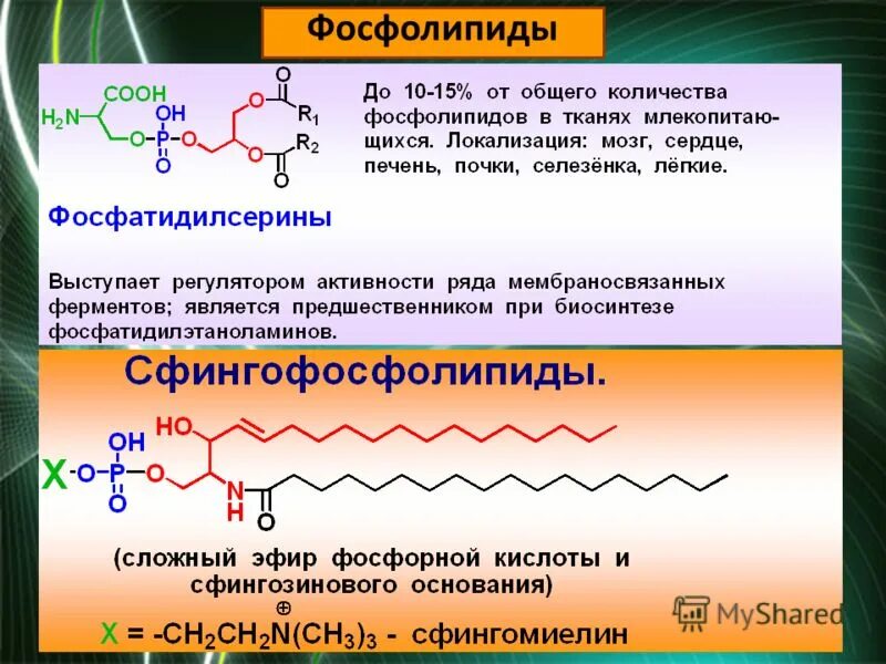 Химическое строение фосфолипидов биохимия. Фосфолипиды общая формула. Фосфолипиды строение. Структурные компоненты фосфолипидов.