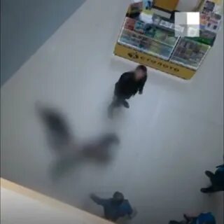 Бабочки в эль рио самара