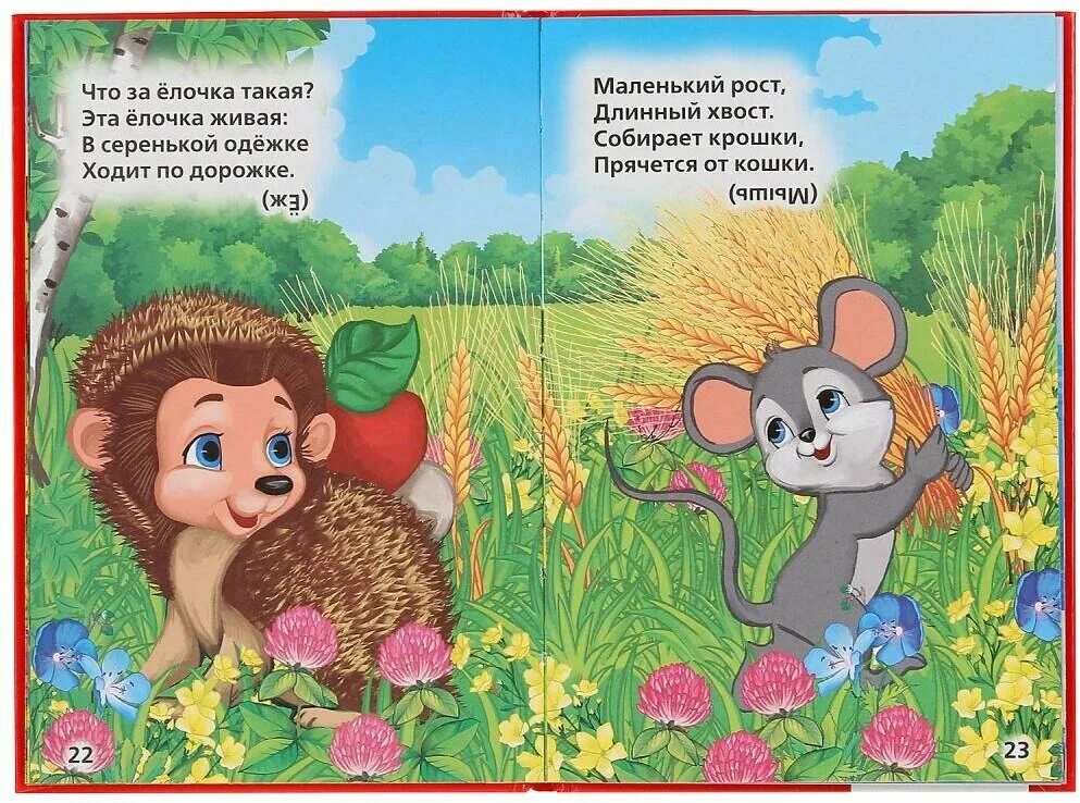 Книги загадки стихах