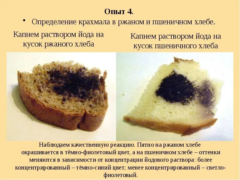 Сыр йод. Наличие крахмала в хлебе опыт. Выявление крахмала в продуктах. Хлеб с йодом. В хлебе есть крахмал.