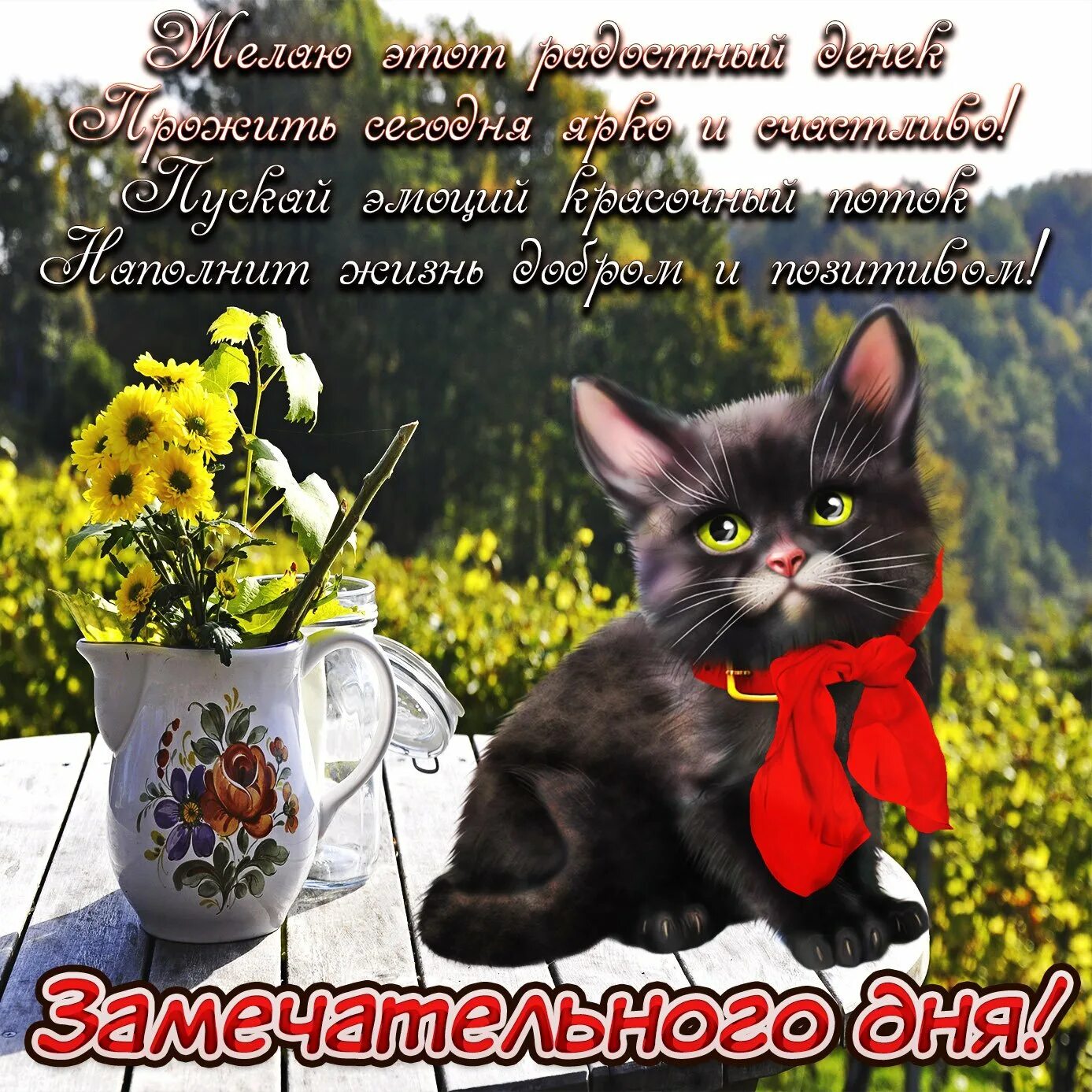 Прекрасного дня и замечательного прикольные