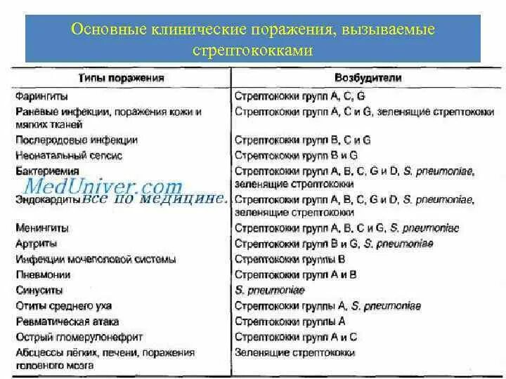 Стрептококки схема. Клинические формы инфекций вызванных пиогенным стрептококком. Группы заболеваний стрептококков. Стрептококков вызываемые заболевания. Тест стрептококк группы а