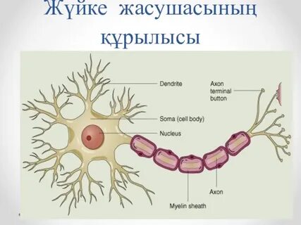 Венгриялық порно көру