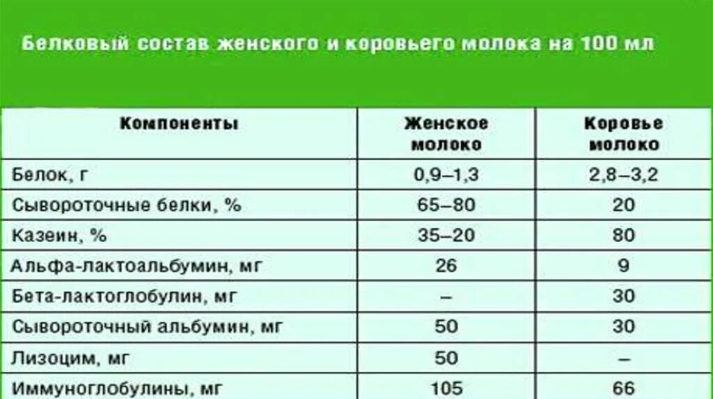 Можно кормить новорожденного коровьем. С какого возраста можно давать ребёнку молоко коровье. Можно ли давать ребёнку в год коровье молоко. Коровье молоко детям до года. Молоко в рационе ребёнка после года.