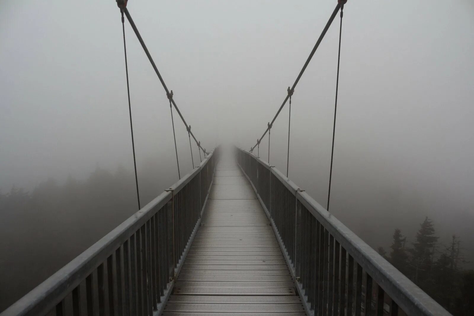 Мост в тумане. Подвесной мост в тумане. Висячий мост. Подвесной канатный мост. Мост в бездну