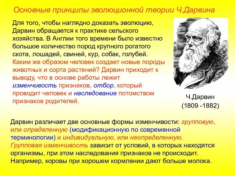 Образование видов по дарвину