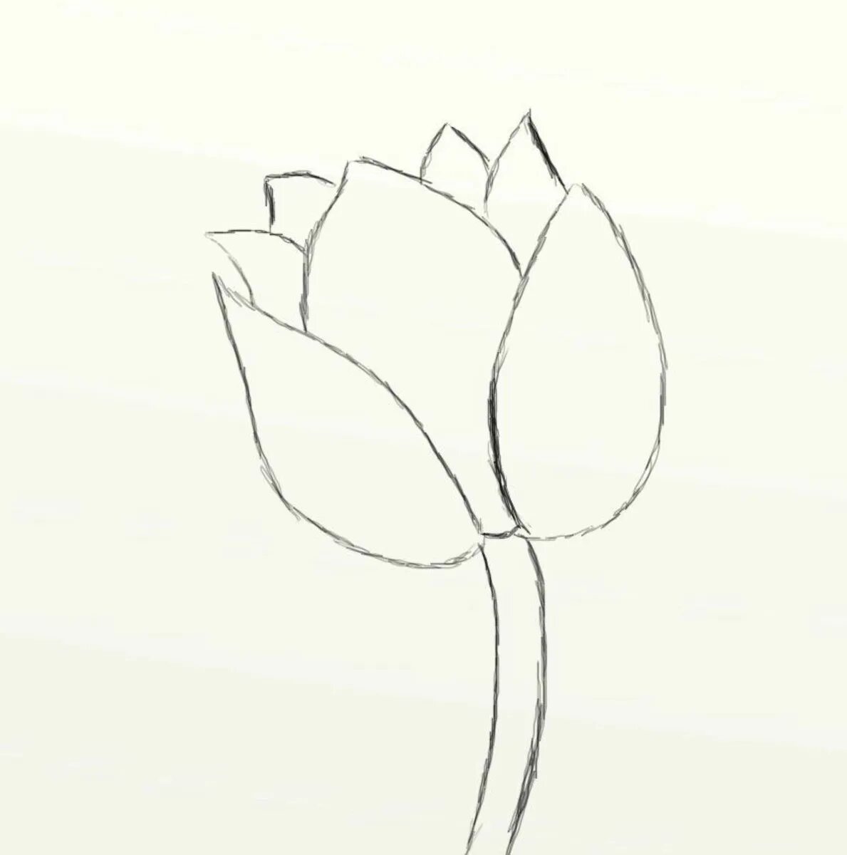 Схемы рисования цветов для детей. Простые цветы для рисования. Цветы легко и красиво. Поэтапное рисование цветы. Простые цветы для рисования.