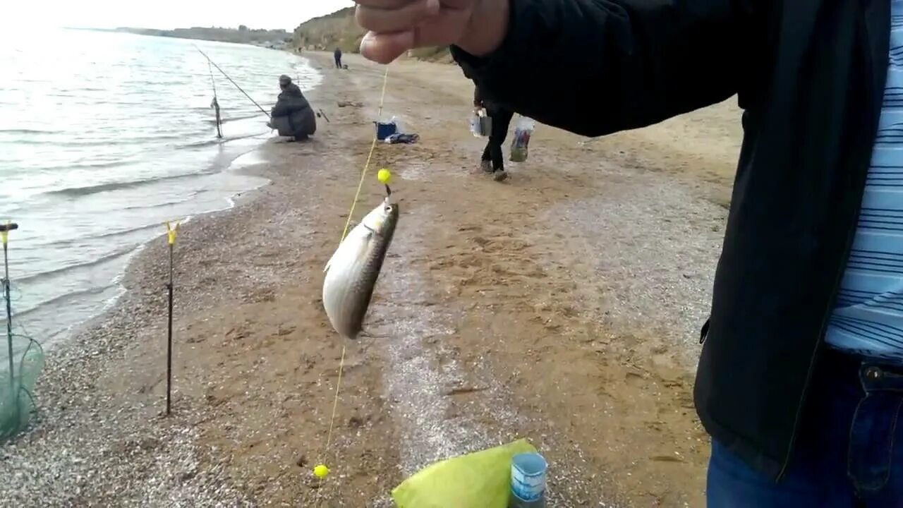 Снасти для ловли кефали на черном море. Снасть на кефаль черное море. Поводок на кефаль. Снасть на кефаль черное. Ловля кефали в море