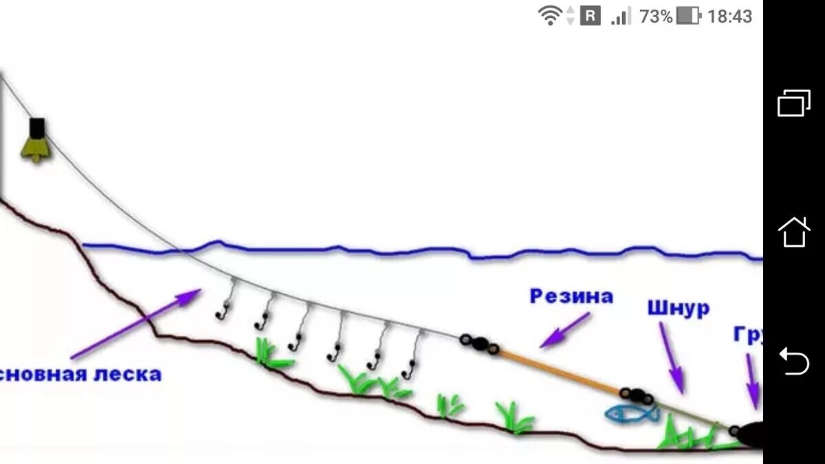 Ловли значение. Монтаж донной снасти с резинкой. Донка с резиновым амортизатором схема. Схема оснастки донной удочки на карпа. Донная снасть с амортизатором резинка.