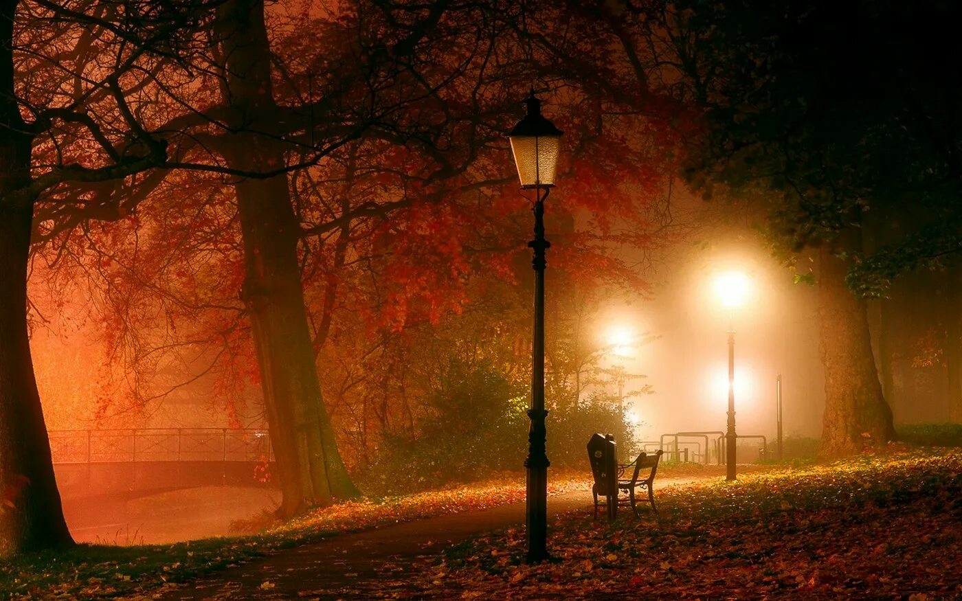 Вечер свет фонаря. Осенний парк вечером. Осенняя ночь. Ночные фонари. Аллея с фонарями.