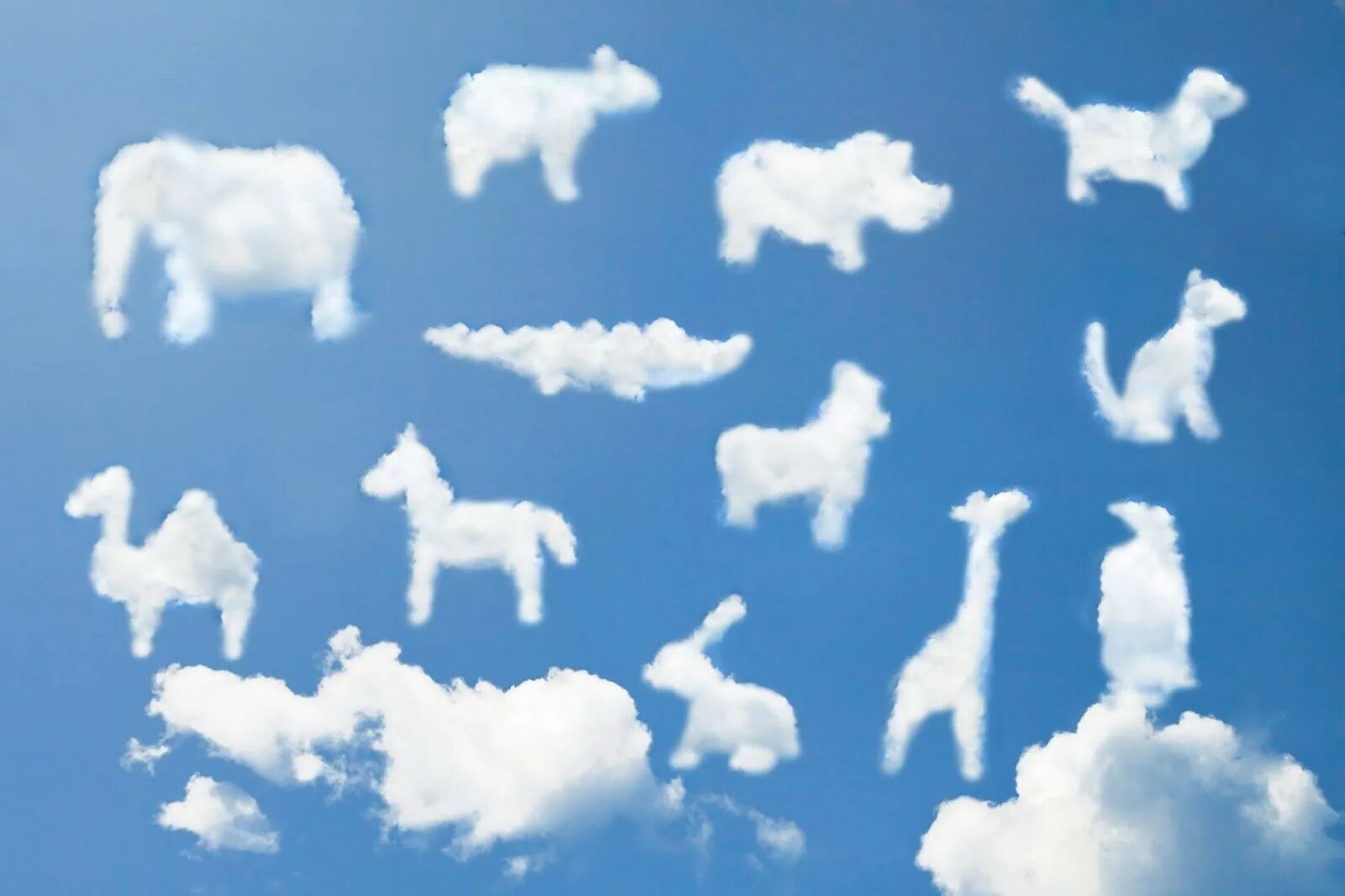 Cloud form