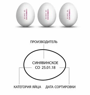 Сколько хранится сваренное яйцо в холодильнике