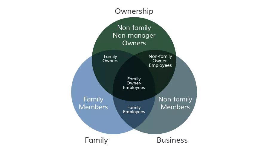 Принцип ownership. In the Family Business ЕГЭ. Family circle. Non-Manager.