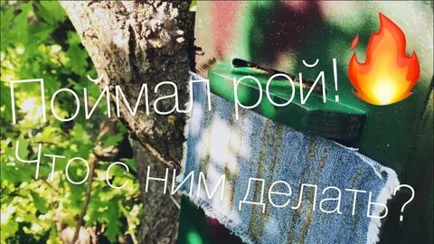 Поймай 2022