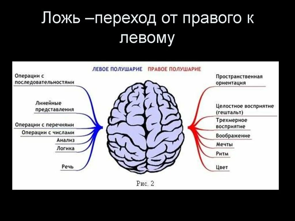 Левая рука правое полушарие. Левое и правое полушарие мозга. Левое полушарие у правшей. Правое полушарие у левшей.