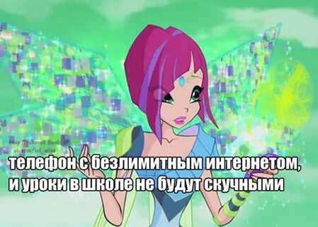 Тех поддержка винк
