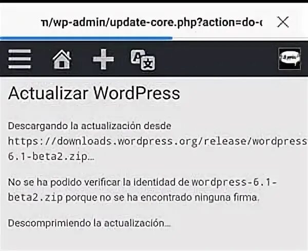 Wordpress 6.1