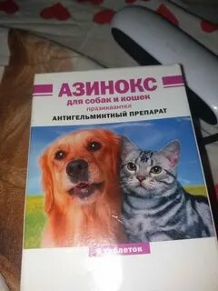 Кошкам от глистов азинокс