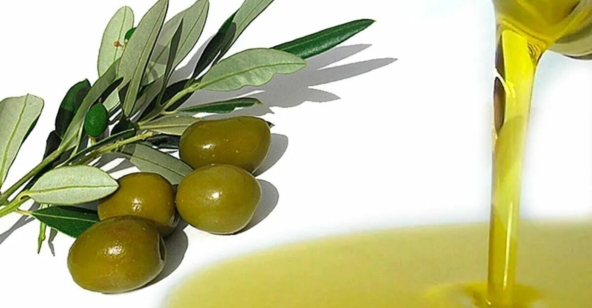 Оливковое масло белок. Оливковое масло олио де олива. Olive Oil масло оливковое лечебное. Масло оливковое олио Экстра Верджине ди олива. Оливки на белом фоне.