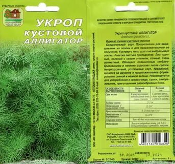 Укроп аллигатор характеристика и описание