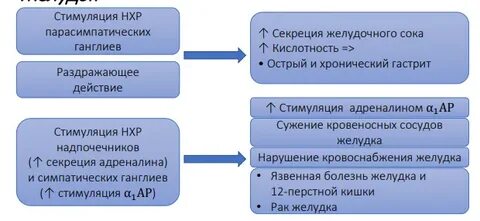 Влияние никотина на клетки живого организма