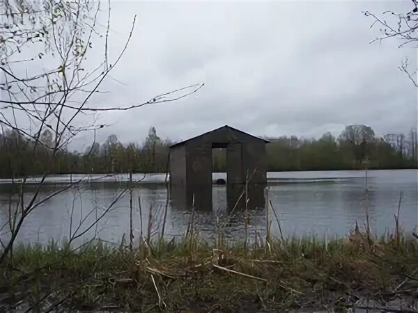 2 озеро белоостров расписание. Романовские озера. Автобус 494 белоостров маршрут. Спас которское озеро ленинградская область. Схема дотов каур.