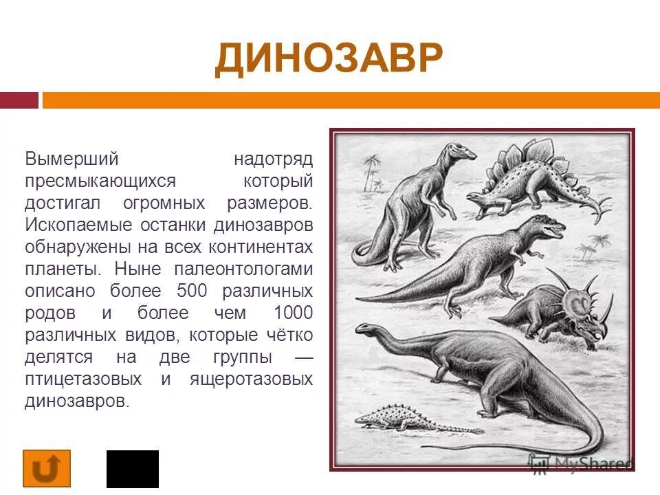 Вымершее пресмыкающееся больших размеров. Древний комодский варан. Ящеры триасового периода. Вымершее пресмыкающееся больших размеров. Пеликозавры пермского периода.