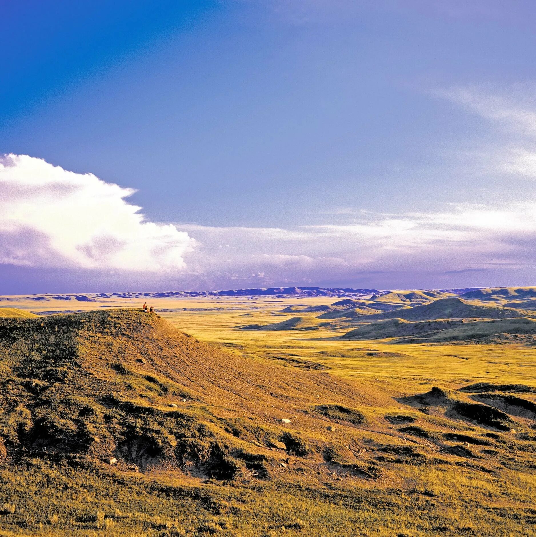 Великие равнины северной америки. Великие и центральные равнины северной америки. Великие равнины сша. Прерии великих равнин. Прерии великих равнин.