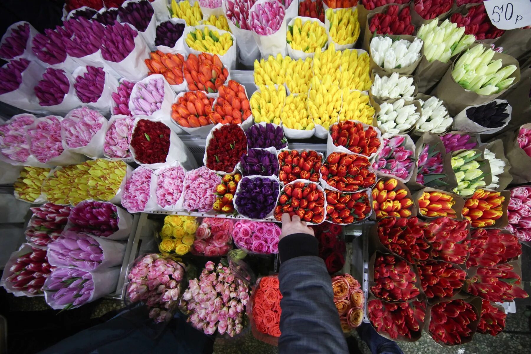 Мосцветторг тюльпаны. Рижский рынок цветов. Рижский рынок цветы. Букет цветов Рижский рынок. Рижский рынок букеты.