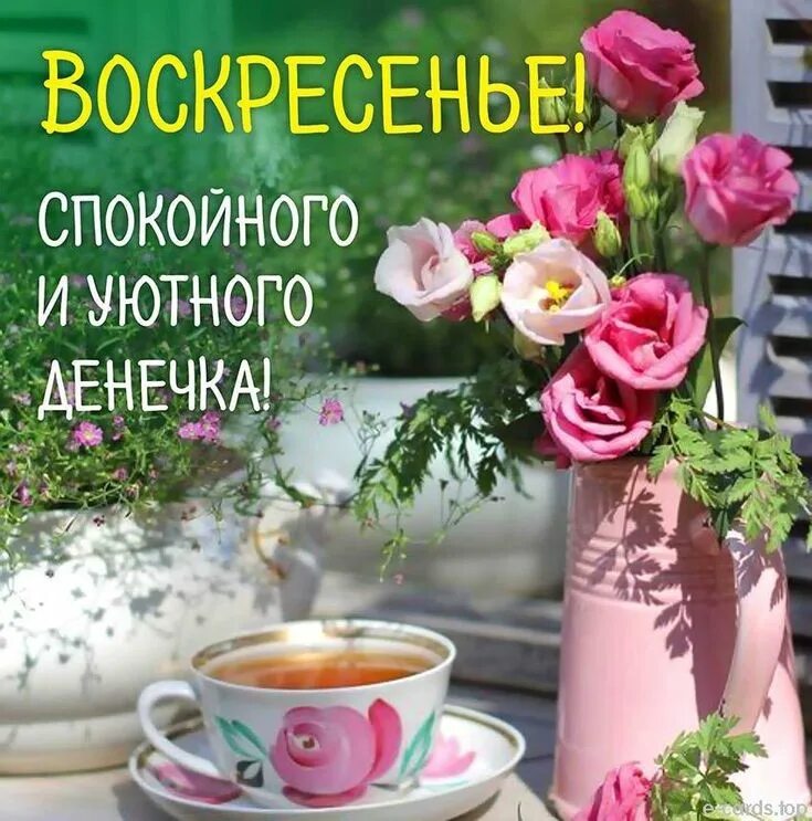 Доброе утро воскресенья хорошего и отличного настроения. Доброе утро воскресенья хорошего и отличного настроения
