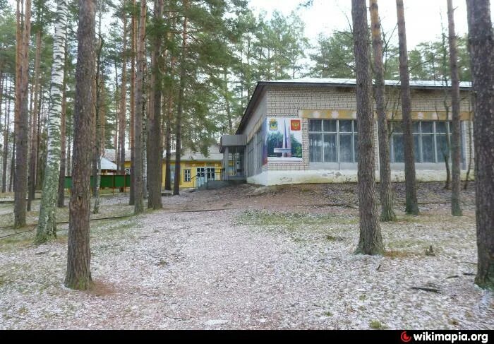 Фото лагеря лесной. Лагерь Лесной городок Пенкино. Лагерь Лесной городок Владимирская область. Пионерский лагерь Лесной городок. Детский оздоровительный лагерь Лесной городок.