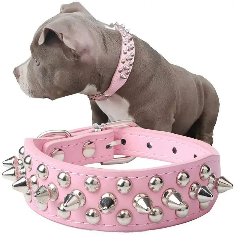 Ошейник для собак dog collar. Ошейник дог. Waudog ошейник с адресником. Ошейник k9 thorn строгий ошейник. Ошейник для джек рассела.